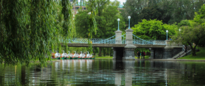 Swan Boats at the Boston Public Garden
