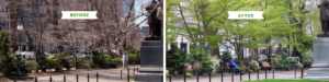 Boylston Street Border Renovation Before and After