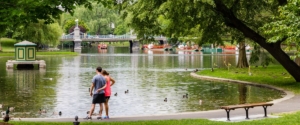 Donate to the Friends of the Public Garden