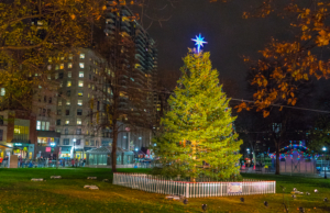 Holiday Tree Lighting on Boston Common